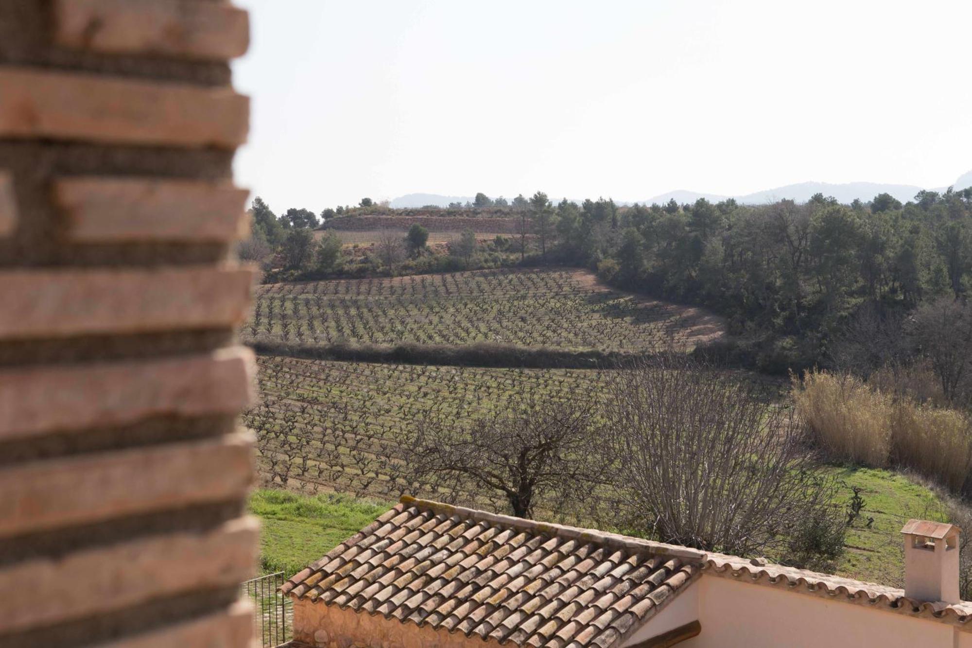Casa Rural Masia Les Apieres El Pla de Manlleu Kültér fotó